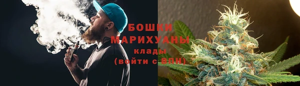 PSILOCYBIN Белокуриха