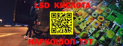 СК Владивосток