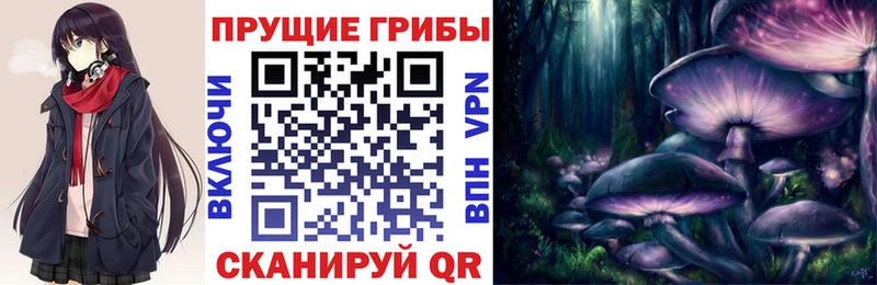 MEGA как войти Горно-Алтайск Галлюциногенные грибы Magic Shrooms