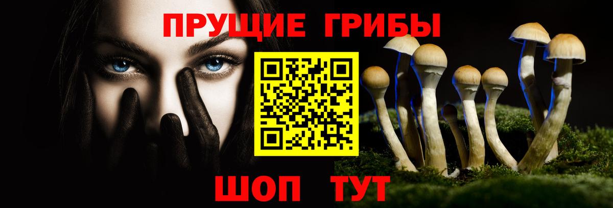 Галлюциногенные грибы мухоморы  Вход с VPN  Горно-Алтайск 